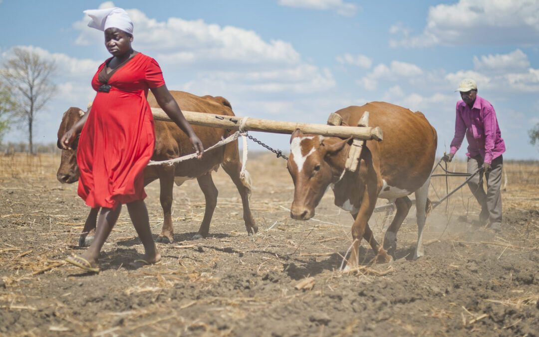 Health Emergency Preparedness & Response at the Onset of El Niño